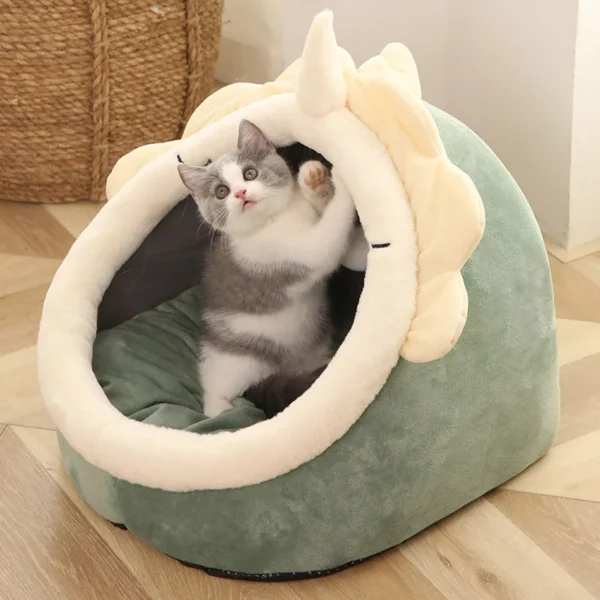 Pet Tent Bed